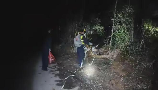 泪目！江西失联姐弟找到了走失原因曝光姐姐一句话让人落泪(图1)